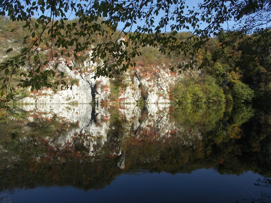 B&B Plitvice Lakes Villa Irene Selište Drežničko Eksteriør bilde