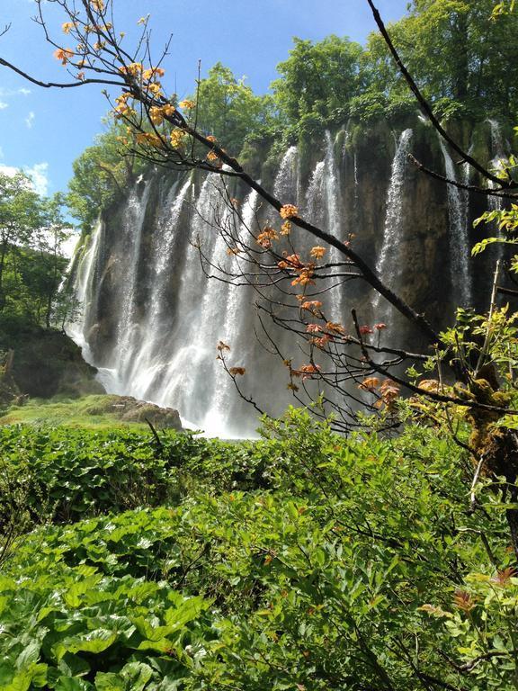 B&B Plitvice Lakes Villa Irene Selište Drežničko Eksteriør bilde